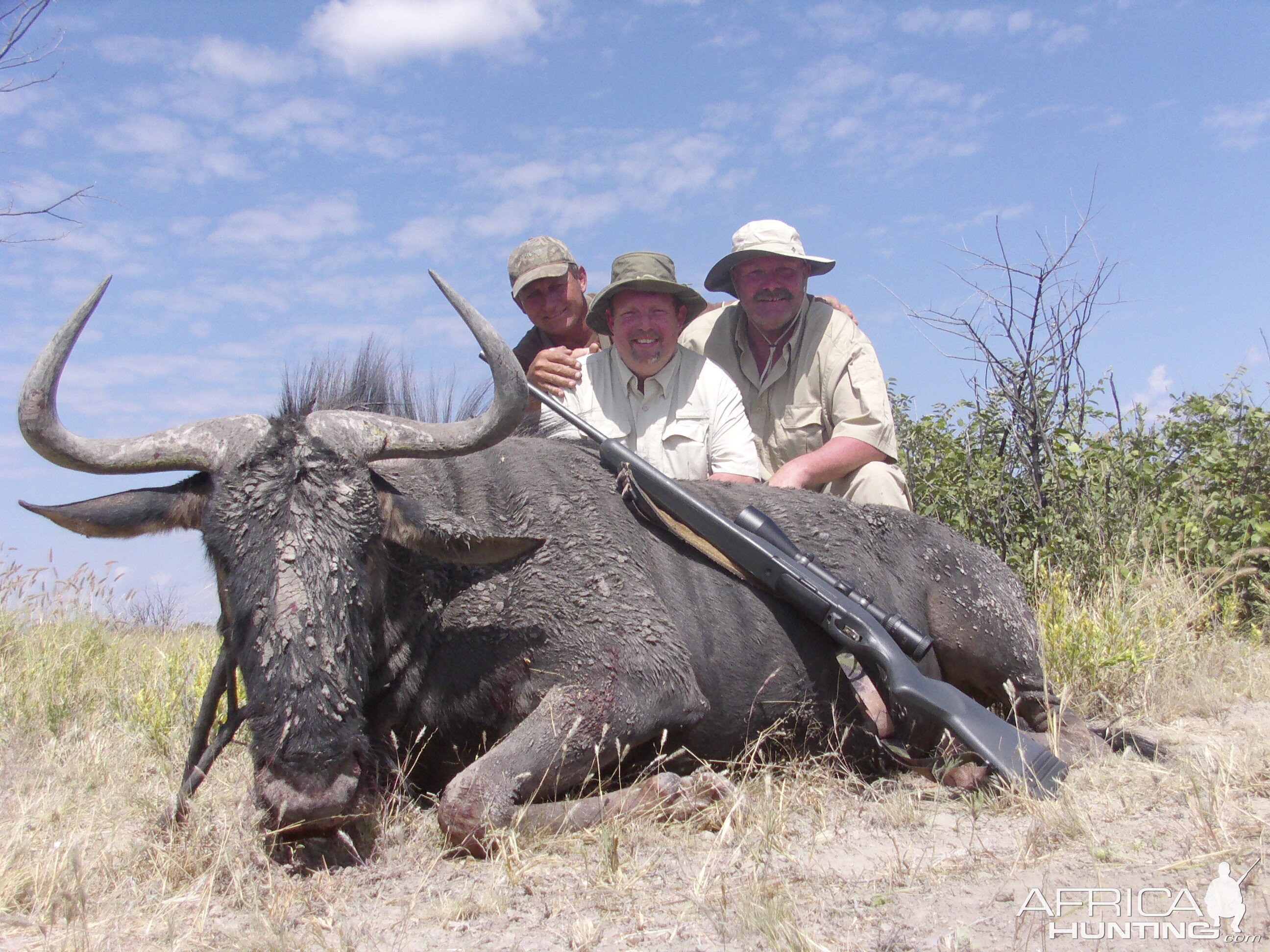 Hunting Blue Wildebeest Namibia