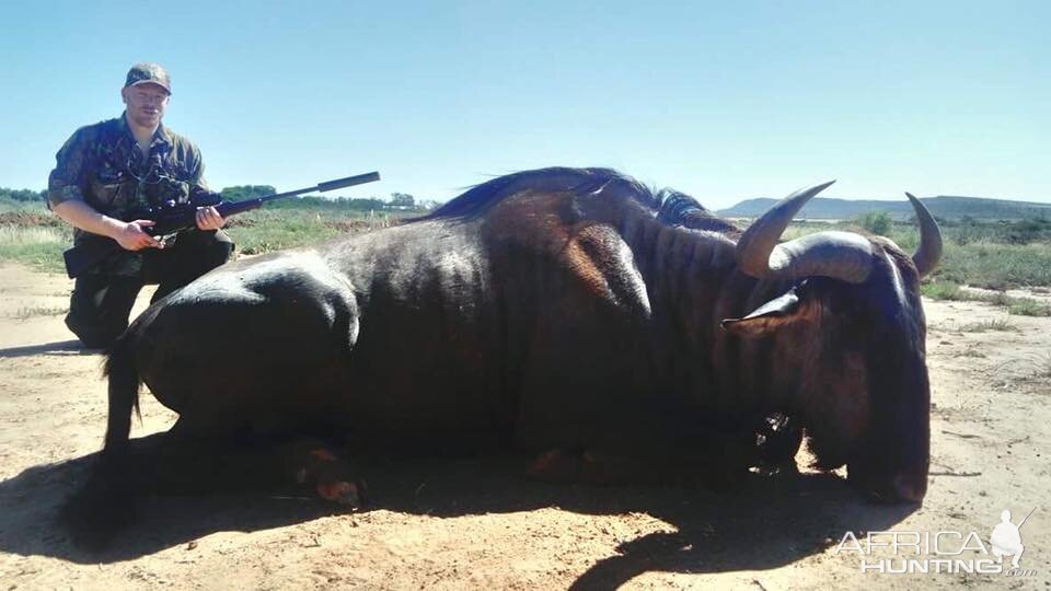 Hunting Blue Wildebeest South Africa 3S Safaris