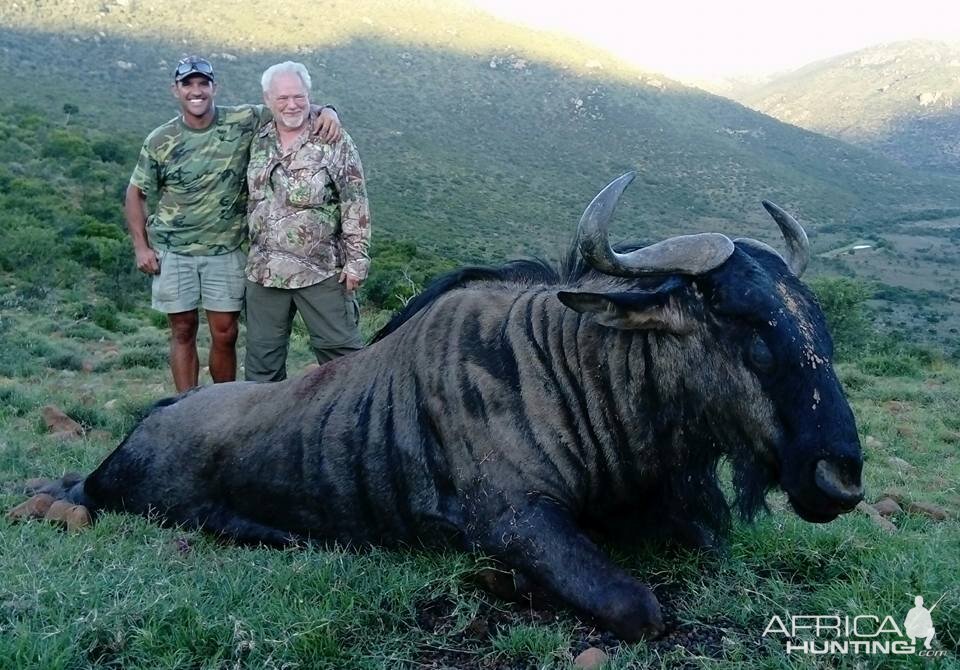 Hunting Blue Wildebeest South Africa