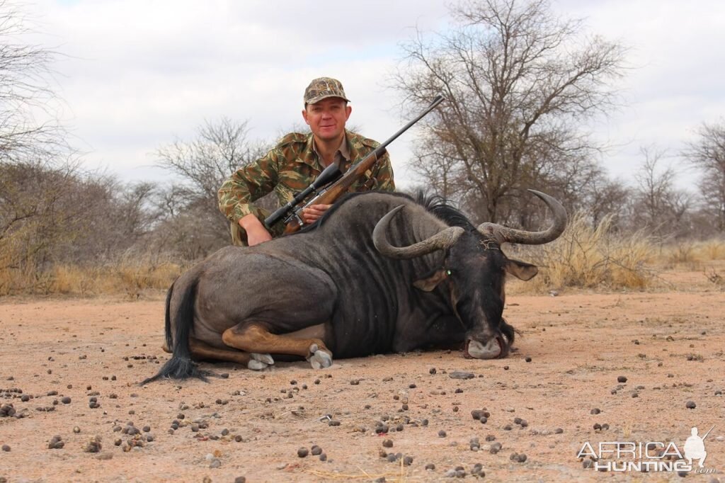 Hunting Blue Wildebeest South Africa