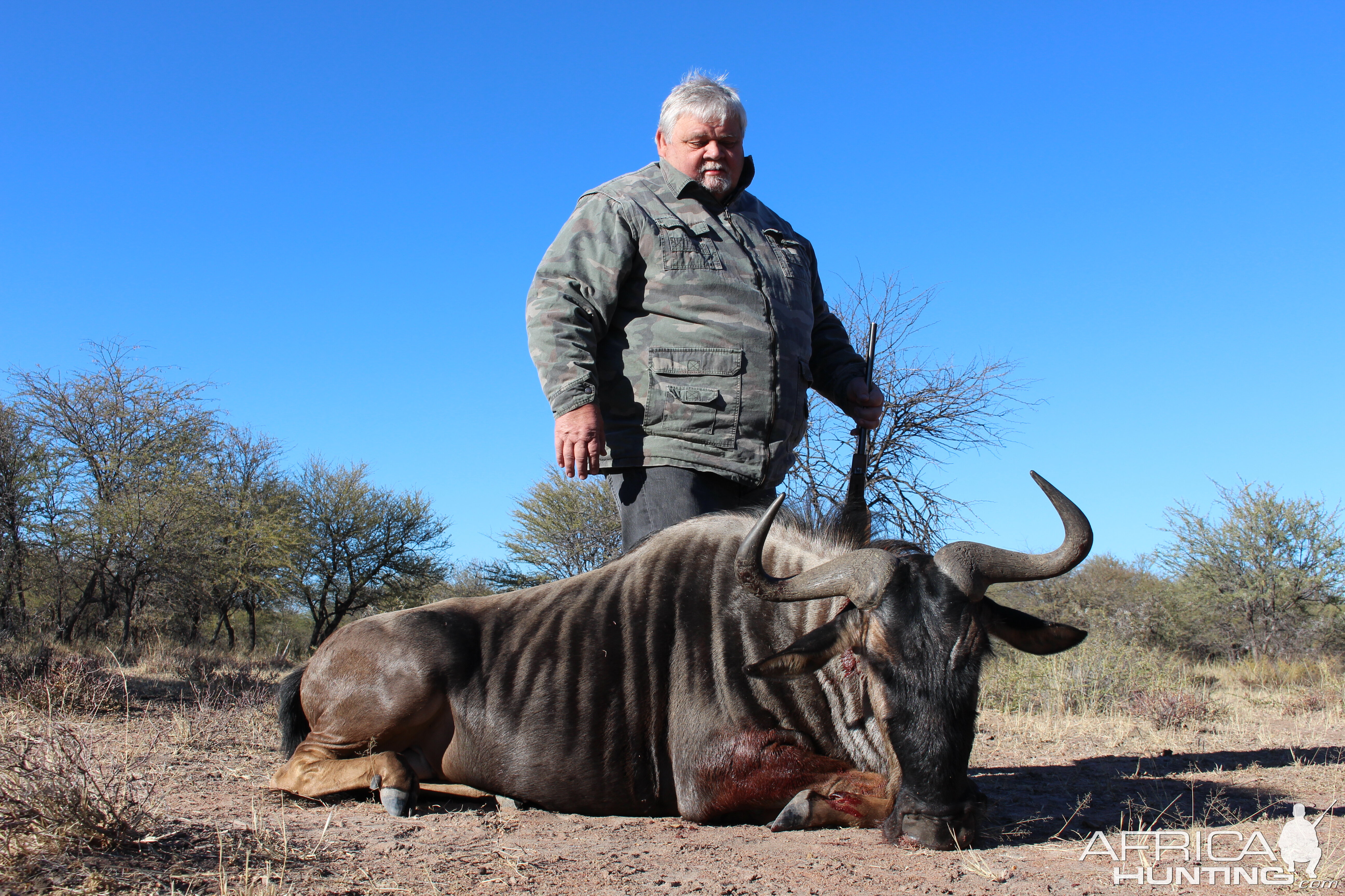 Hunting Blue Wildebeest South Africa