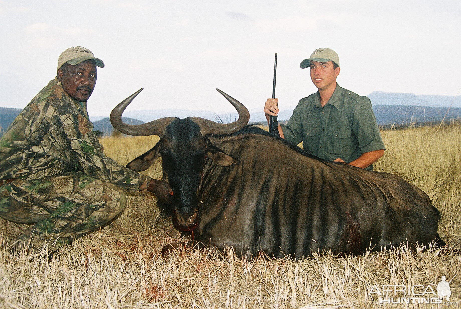 Hunting Blue Wildebeest with Wintershoek Johnny Vivier Safaris in SA