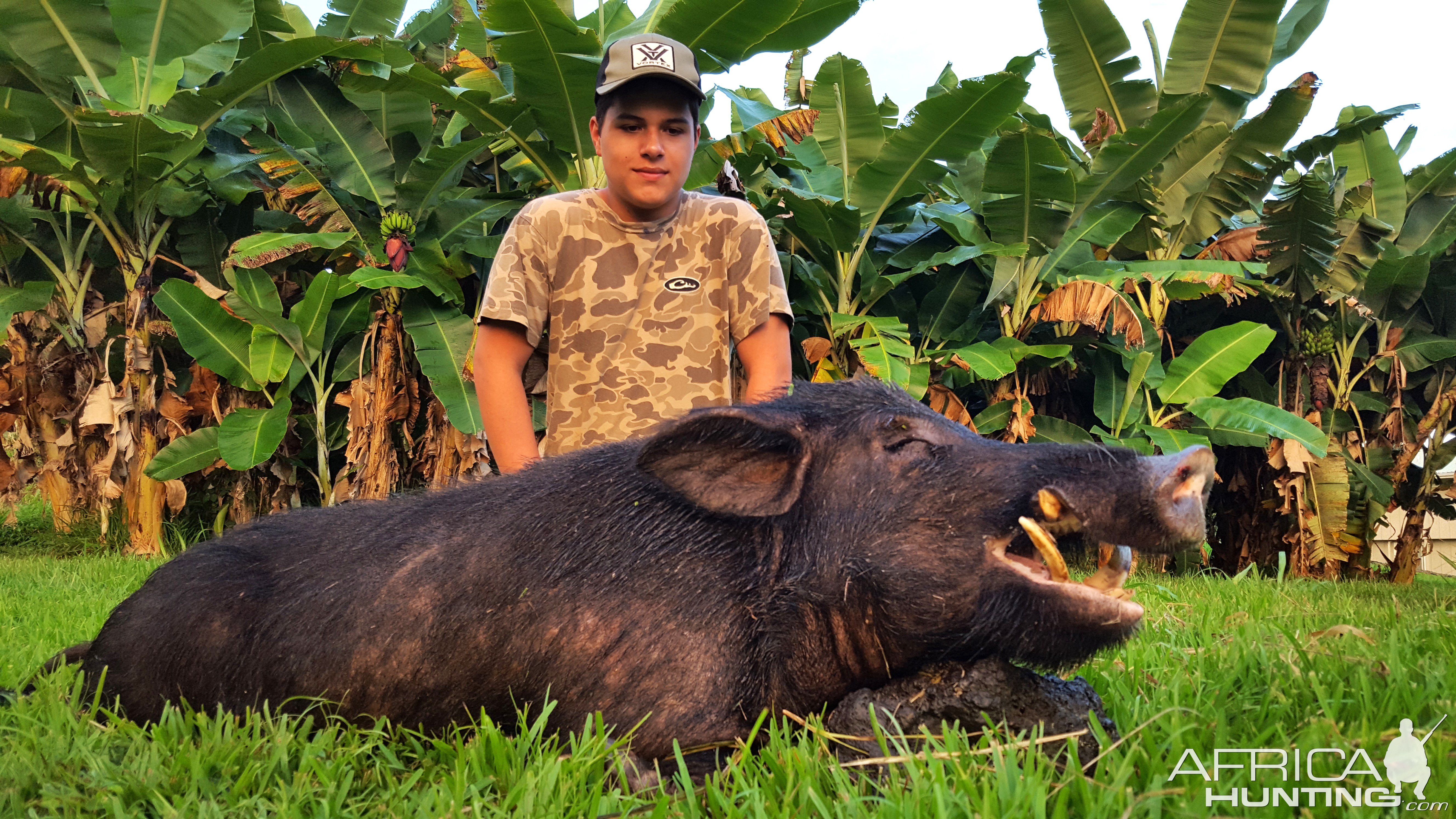 Hunting Boar Big Island Hawaii