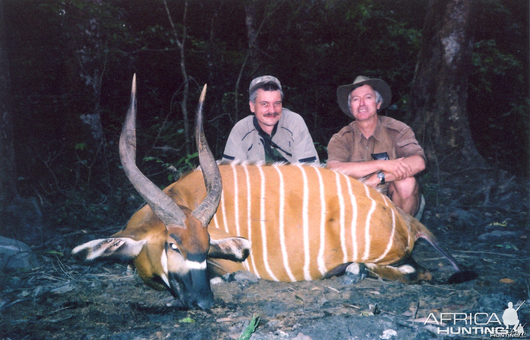 Hunting Bongo in CAR with Rudy Lubin Safaris