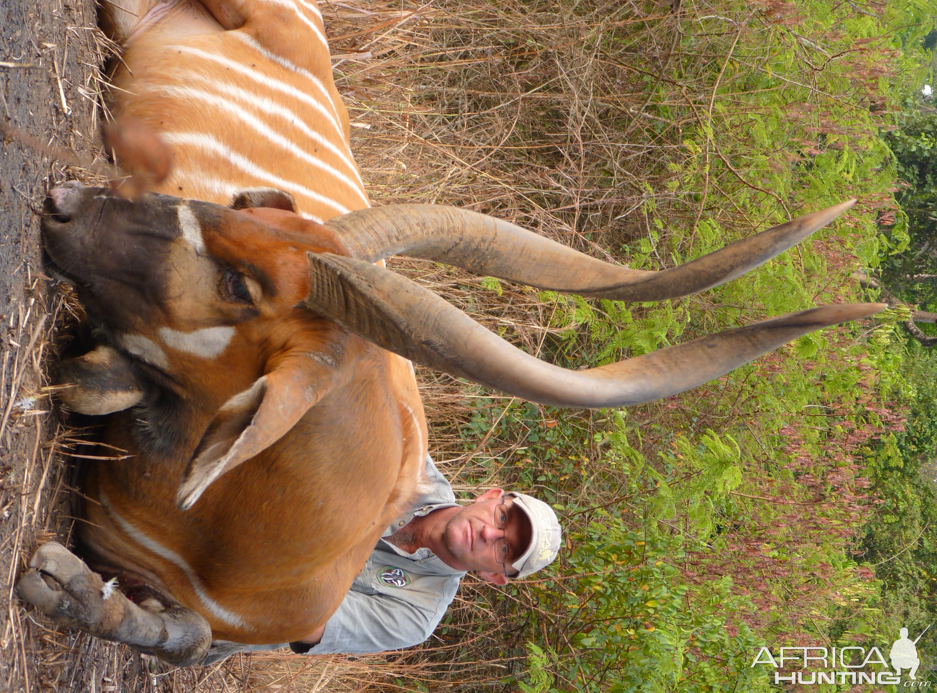 Hunting Bongo in Central African Republic