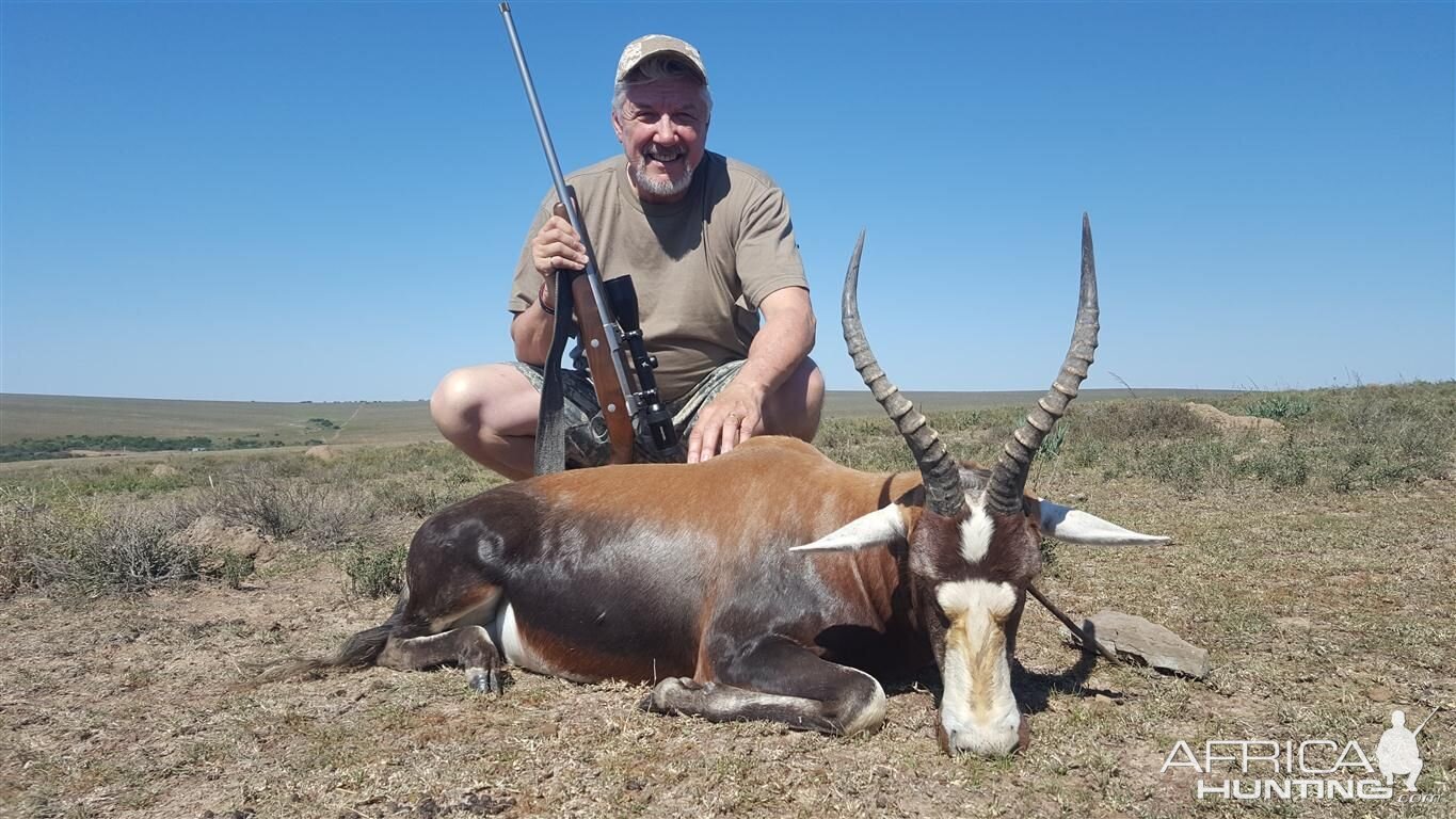 Hunting Bontebok South Africa