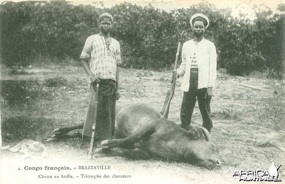 Hunting Buffalo Congo