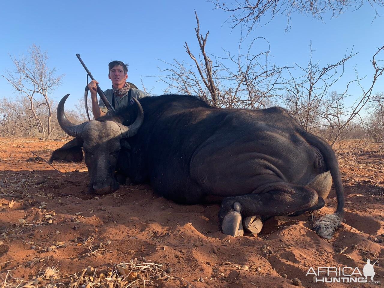 Hunting Buffalo Cow in South Africa