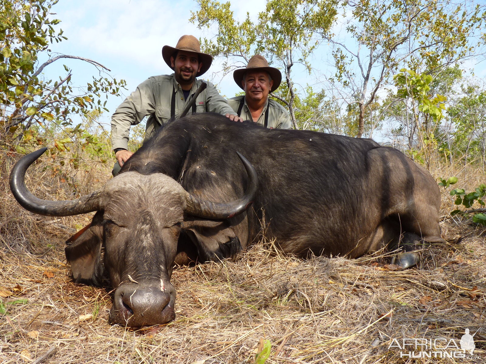 Hunting Buffalo Cow with Wintershoek Johnny Vivier Safaris in SA