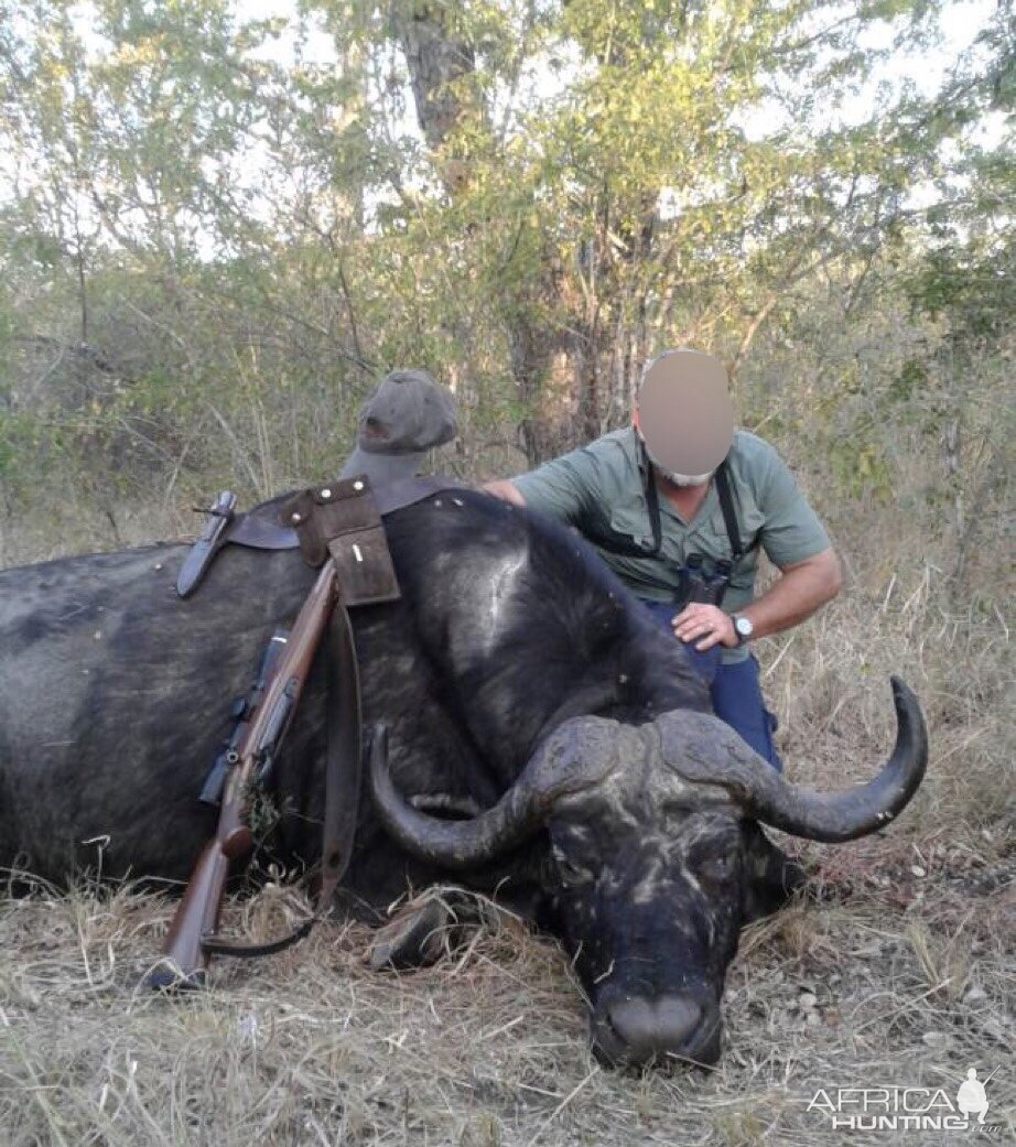 Hunting Buffalo Gonarezhou Safari Area Zimbabwe