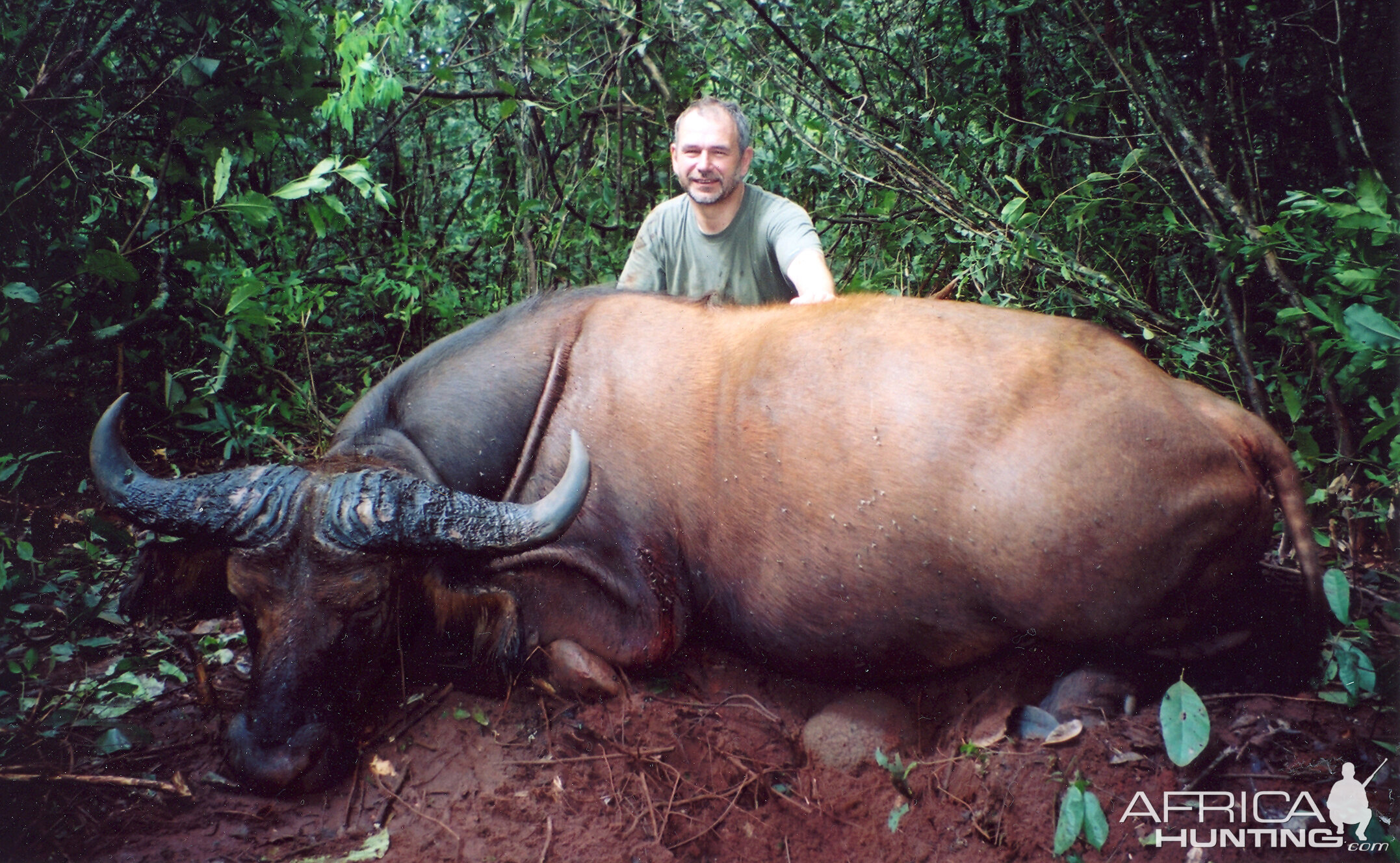 Hunting Buffalo in CAR with Rudy Lubin Safaris