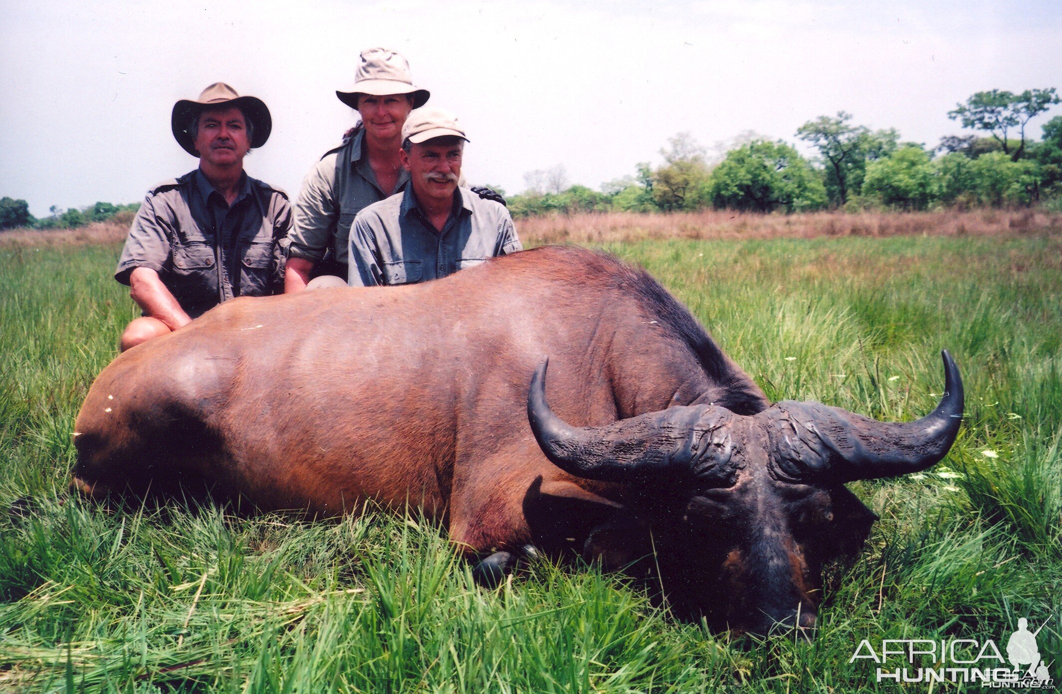 Hunting Buffalo in CAR with Rudy Lubin Safaris