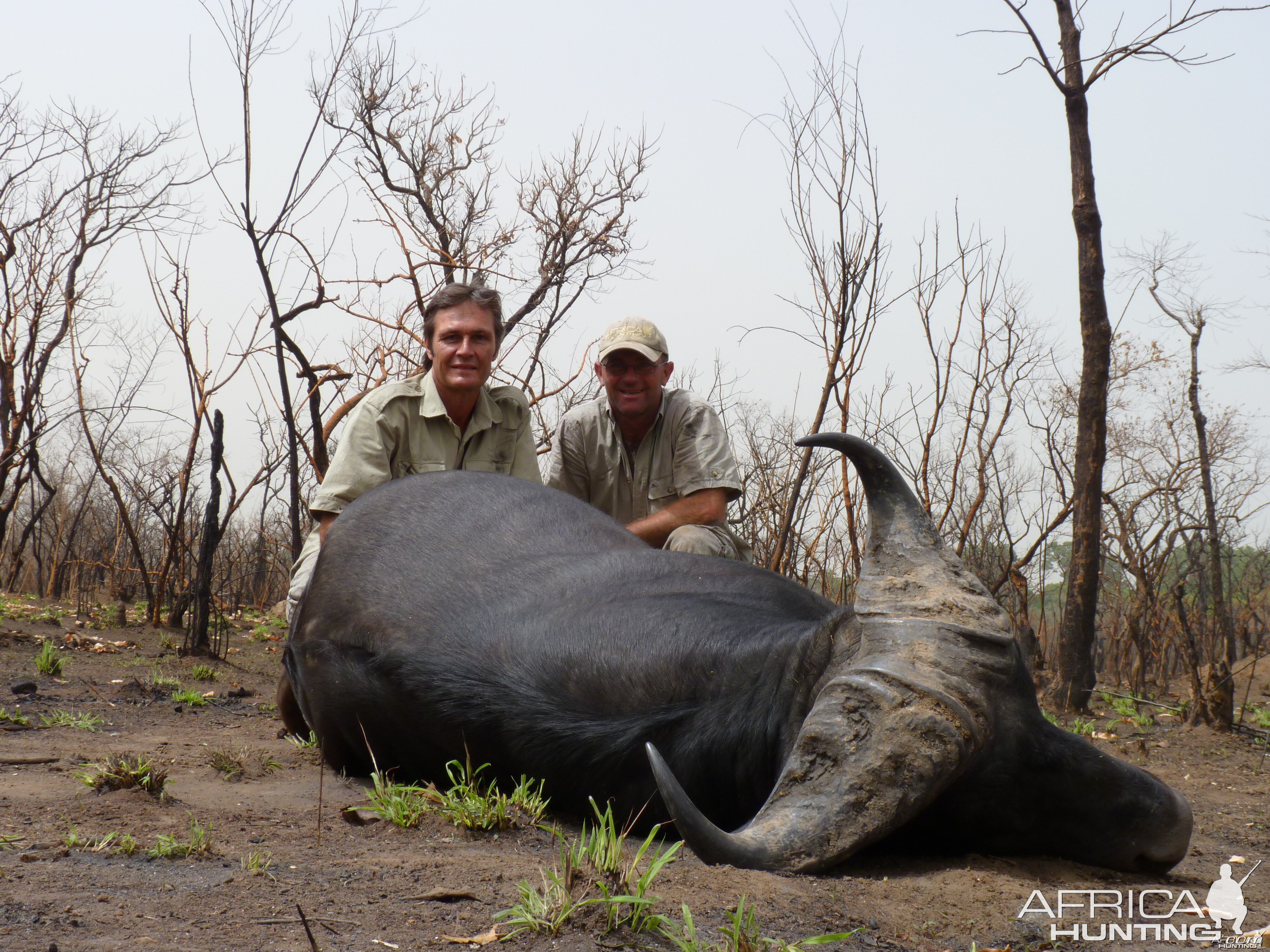 Hunting Buffalo in CAR