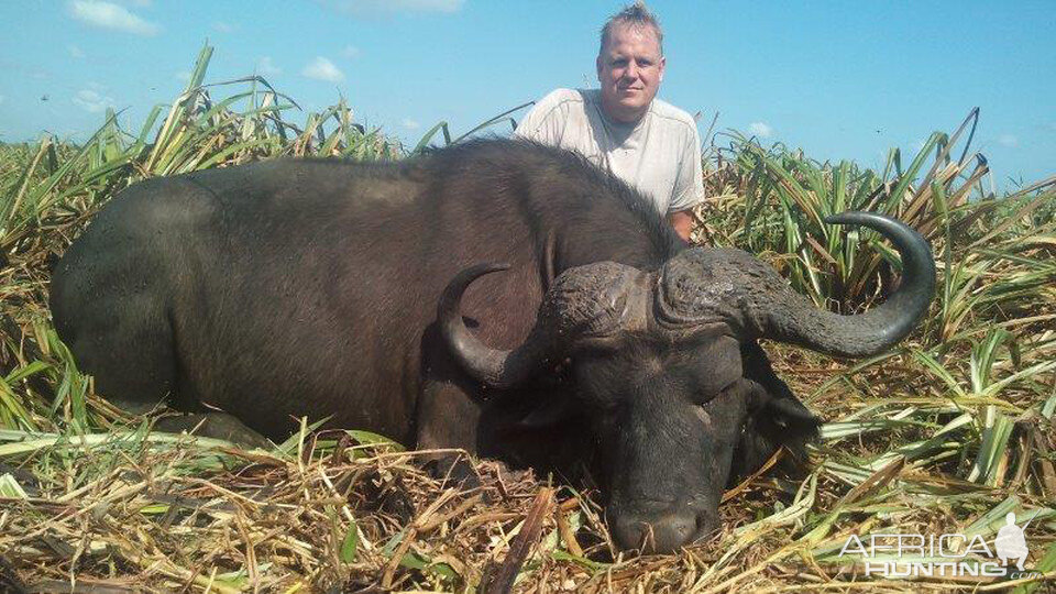 Hunting Buffalo in Mozambique