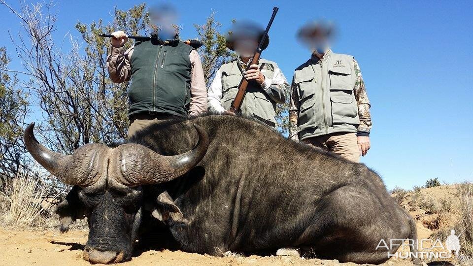 Hunting Buffalo in Namibia