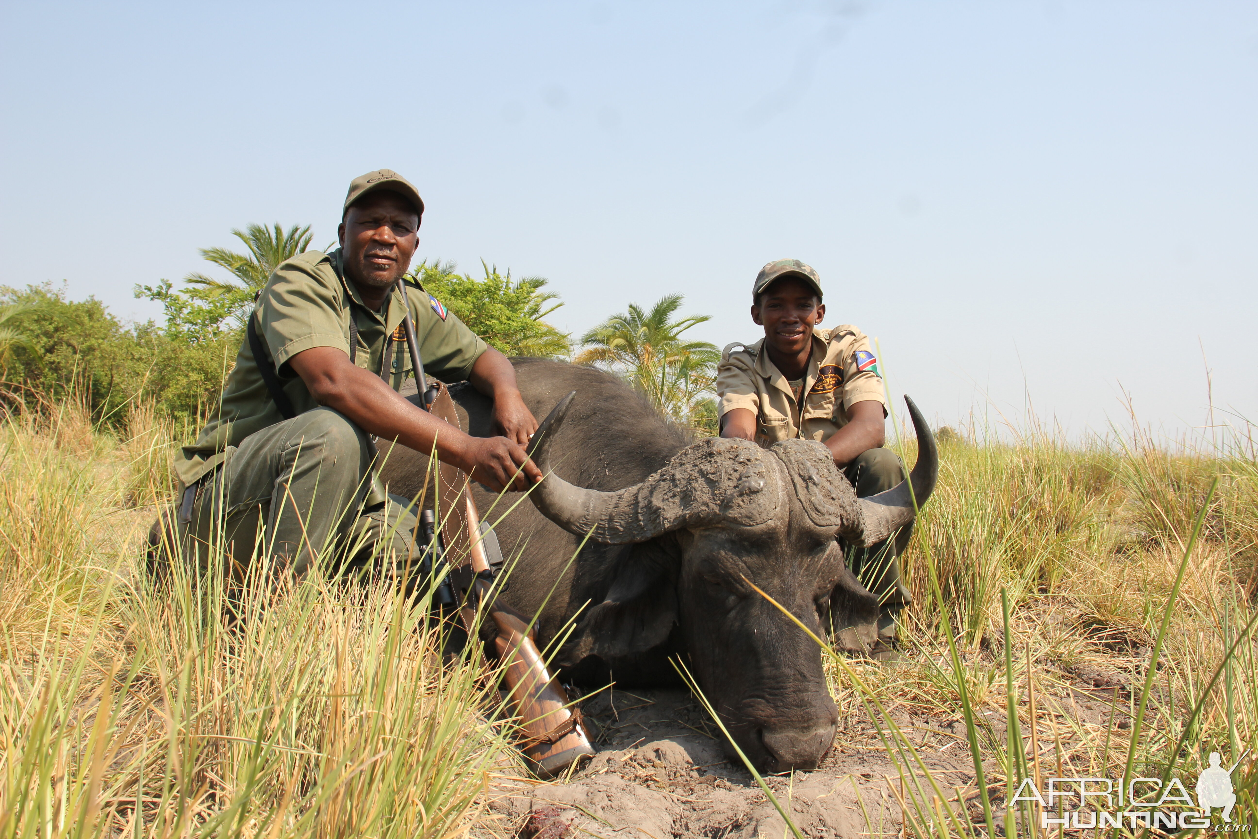 Hunting Buffalo in Namibia