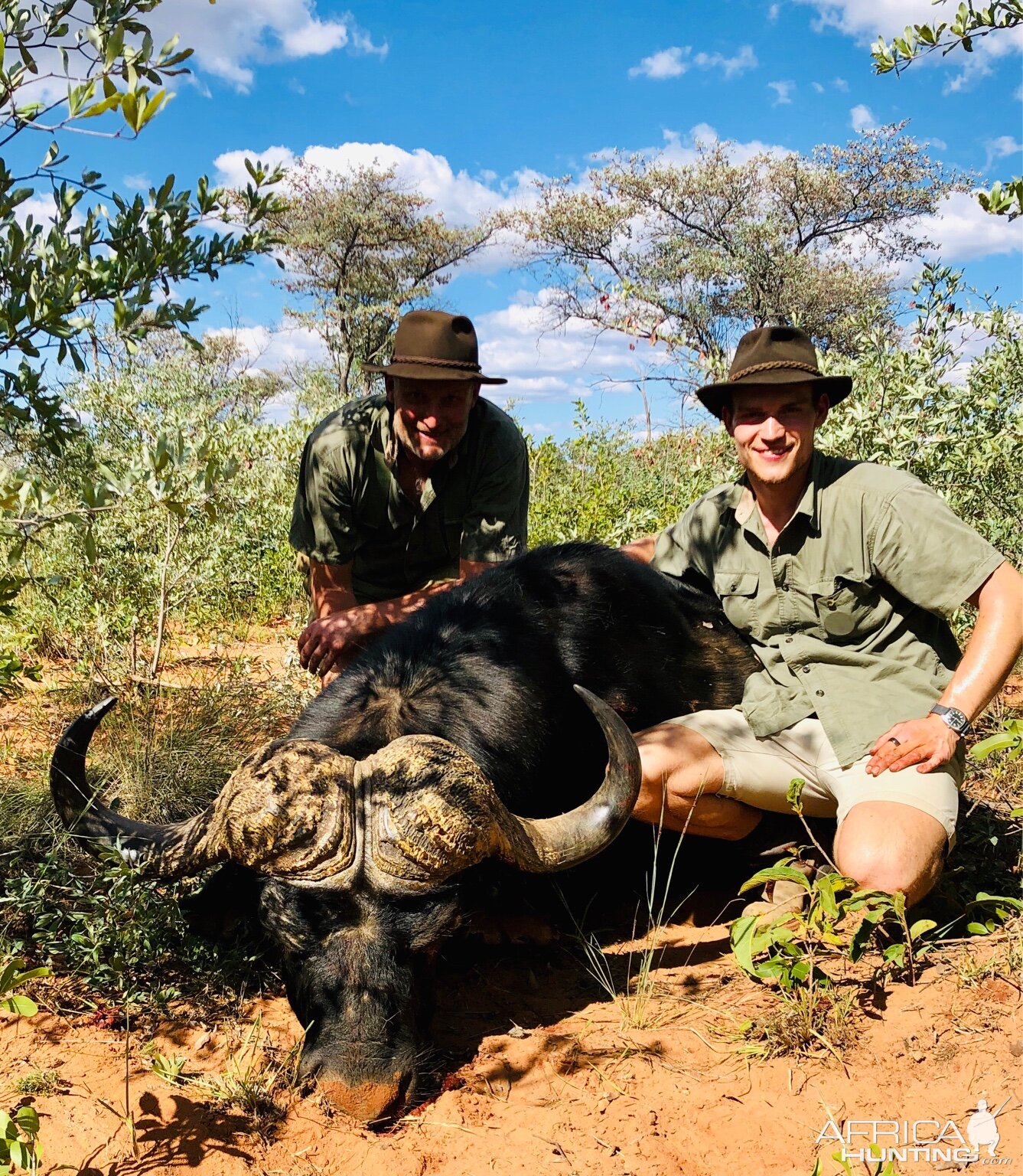 Hunting Buffalo in Namibia