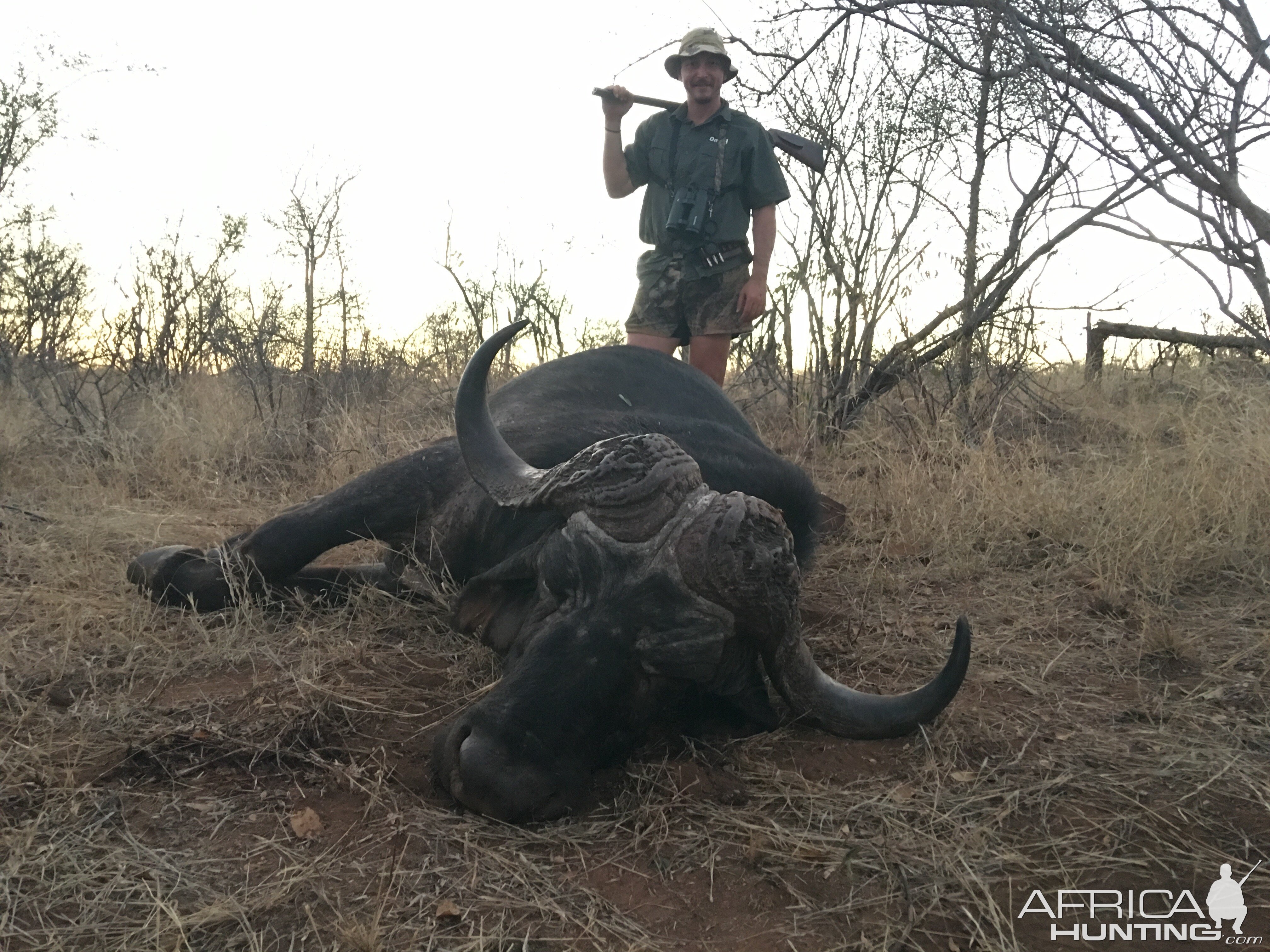 Hunting Buffalo in South Africa