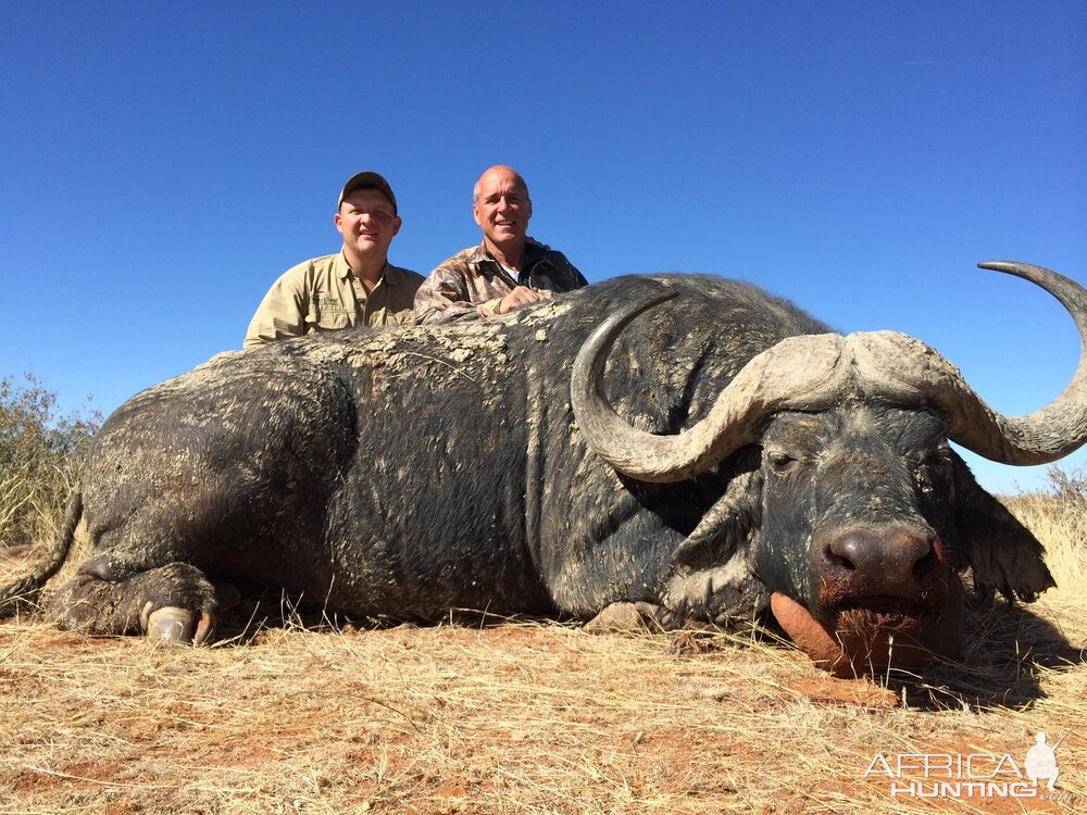 Hunting Buffalo in South Africa