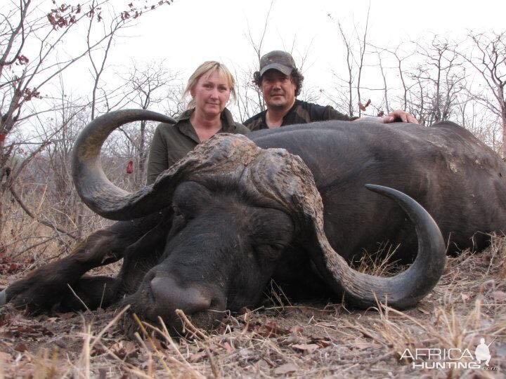 Hunting Buffalo in South Africa