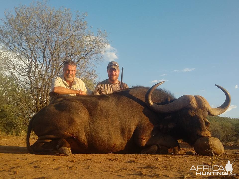 Hunting Buffalo in South Africa