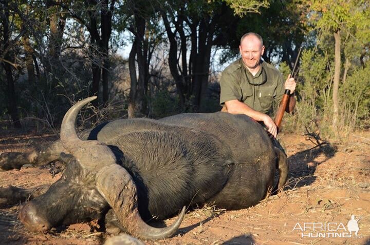 Hunting Buffalo in South Africa