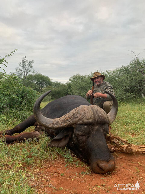 Hunting Buffalo in South Africa | AfricaHunting.com