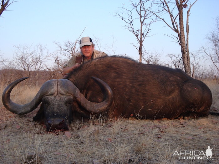 Hunting Buffalo in Zimbabwe | AfricaHunting.com