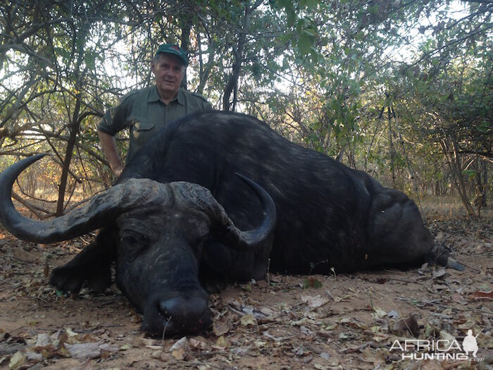 Hunting Buffalo in Zimbabwe | AfricaHunting.com