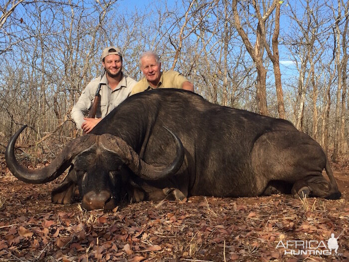 Hunting Buffalo in Zimbabwe | AfricaHunting.com