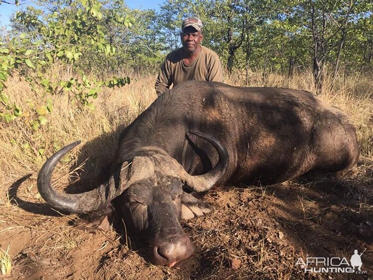 Hunting Buffalo in Zimbabwe