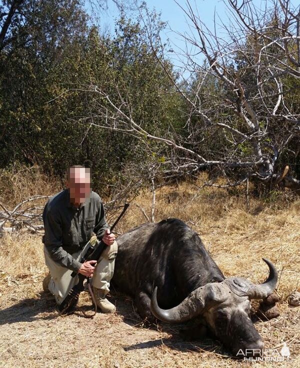 Hunting Buffalo in Zimbabwe