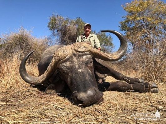 Hunting Buffalo in Zimbabwe