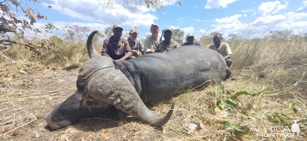 Hunting Buffalo Mozambique