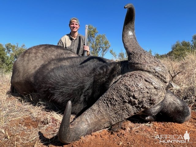 Hunting Buffalo South Africa