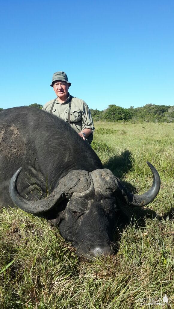 Hunting Buffalo South Africa