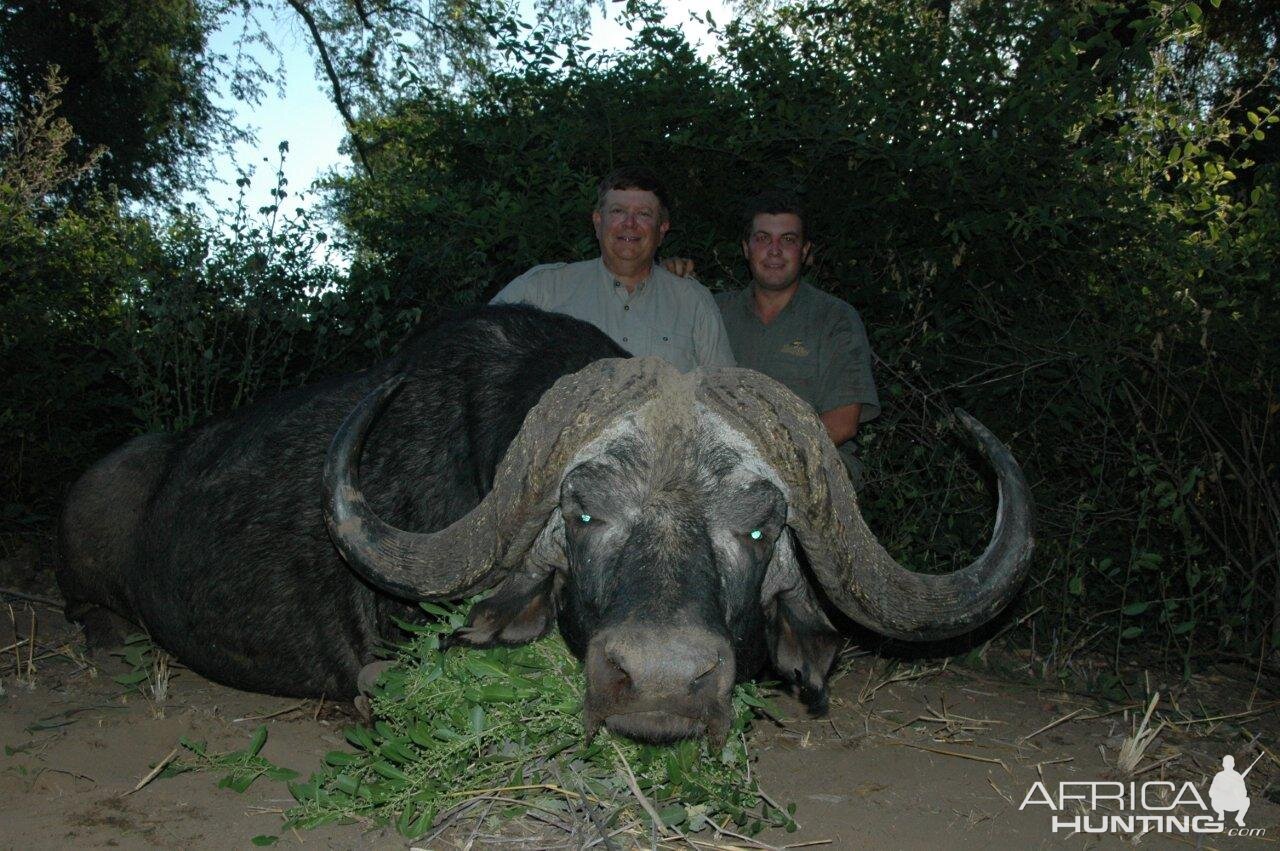 Hunting Buffalo South Africa