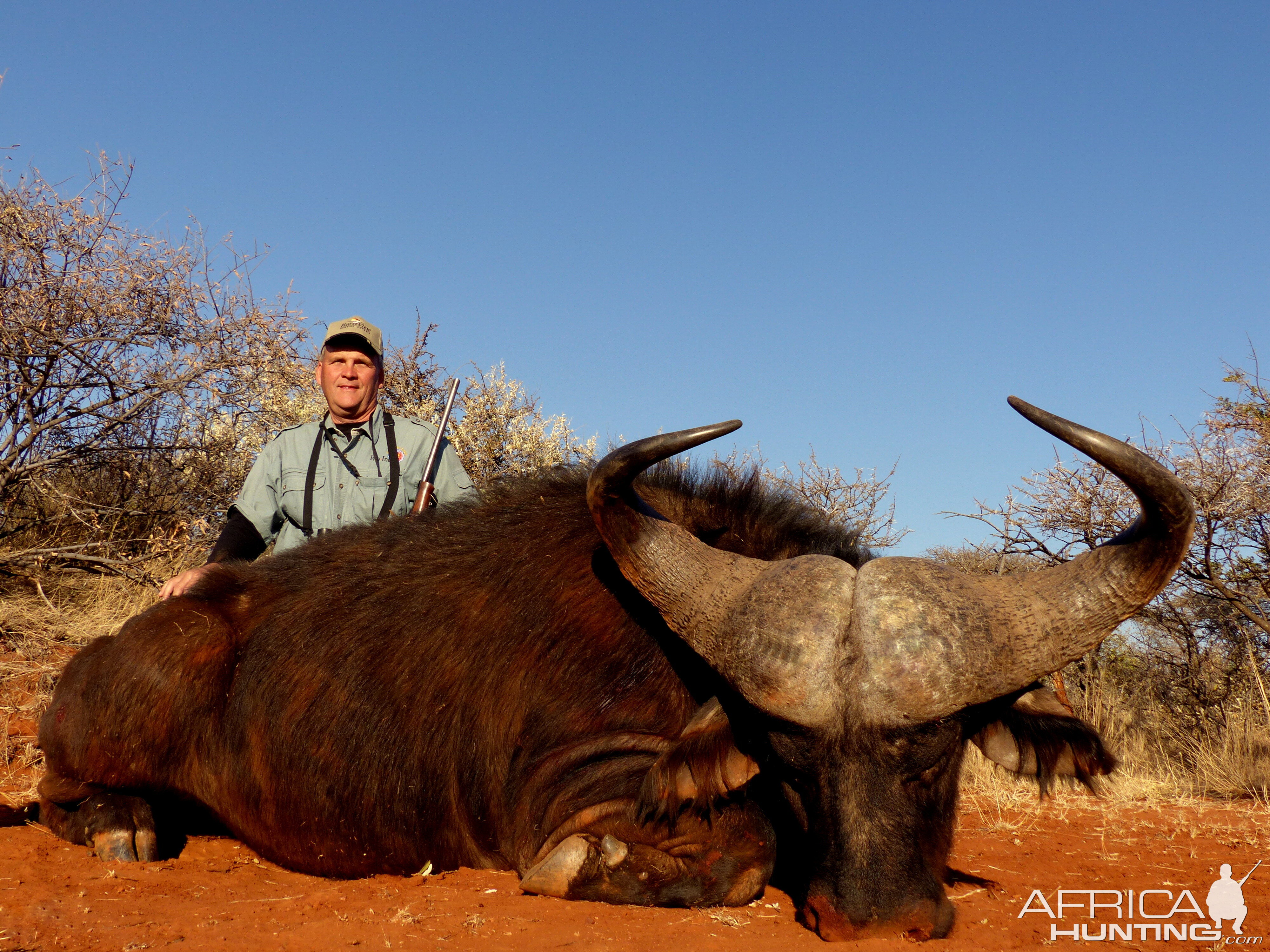 Hunting Buffalo South Africa