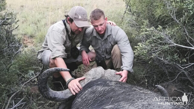 Hunting Buffalo South Africa