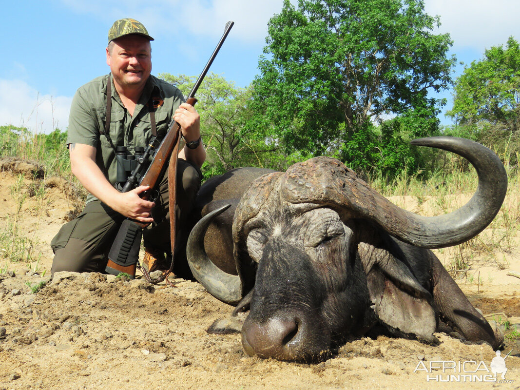 Hunting Buffalo South Africa