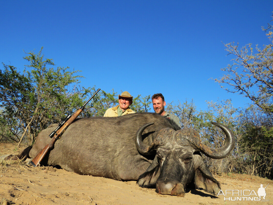 Hunting Buffalo South Africa