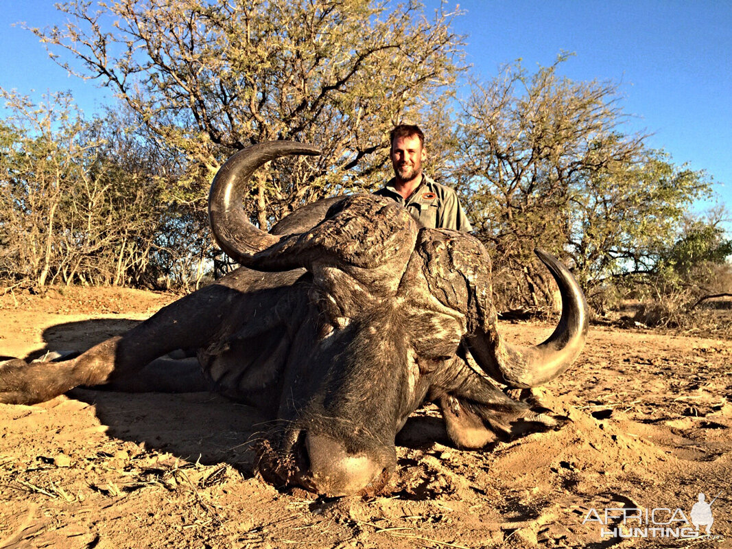 Hunting Buffalo South Africa