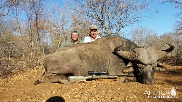 Hunting Buffalo South Africa