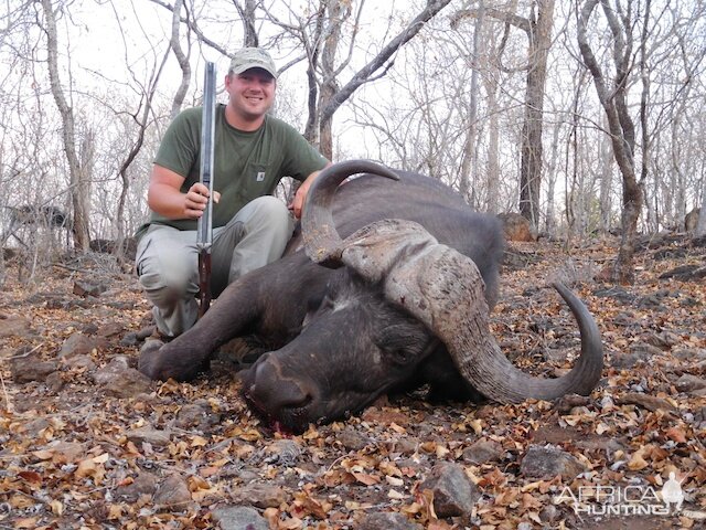 Hunting Buffalo South Africa