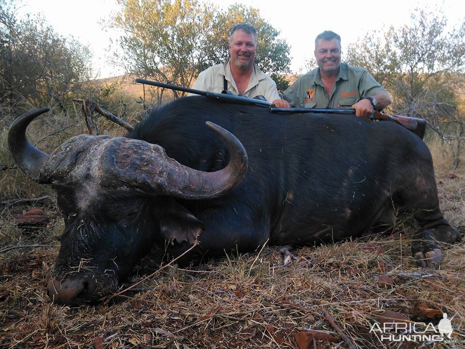 Hunting Buffalo South Africa