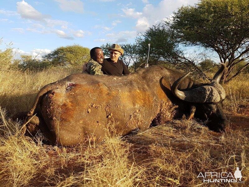 Hunting Buffalo South Africa