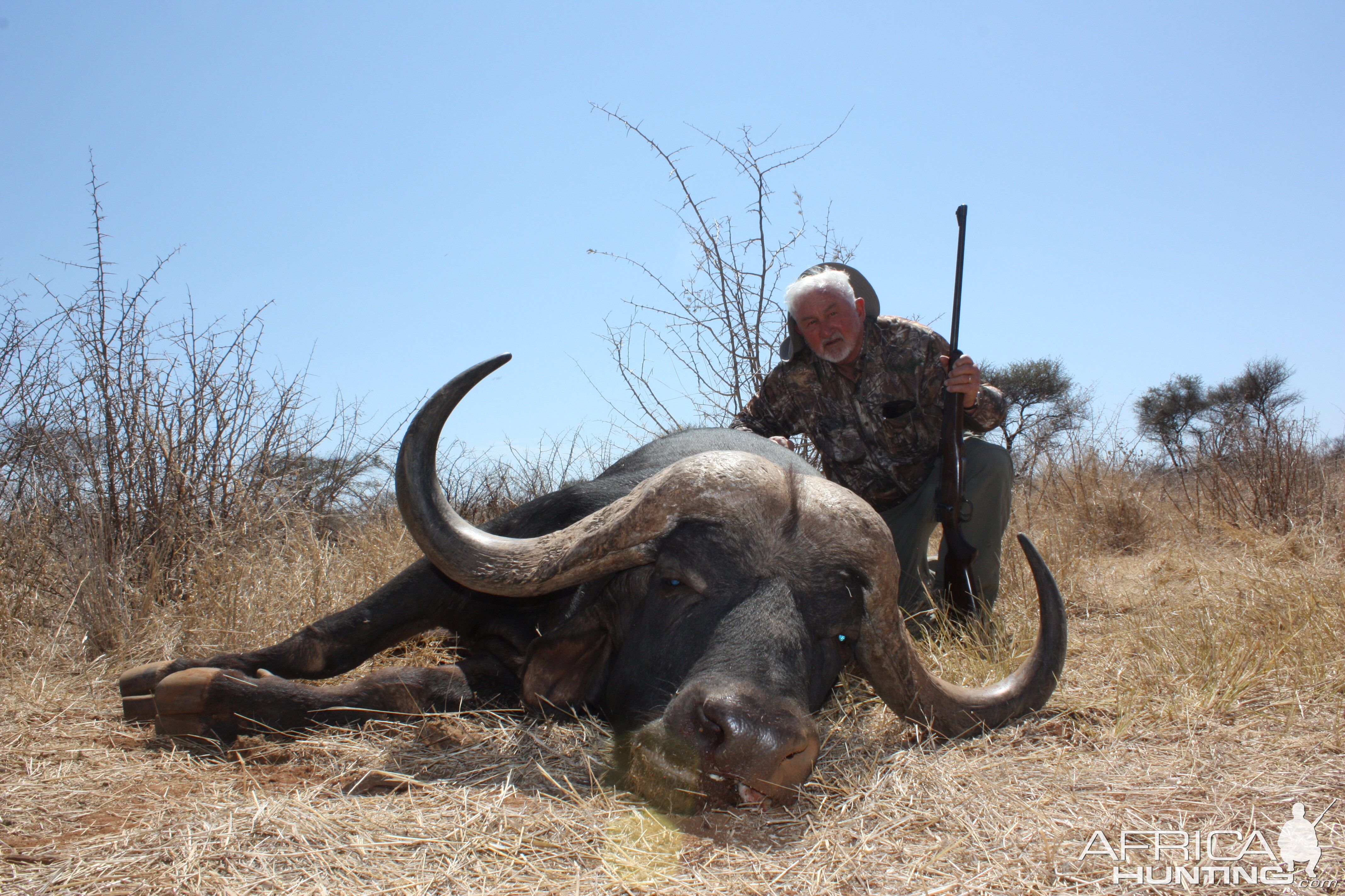 Hunting Buffalo South Africa