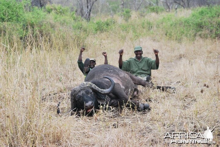 Hunting Buffalo with Pelandaba Safaris in Zimbabwe