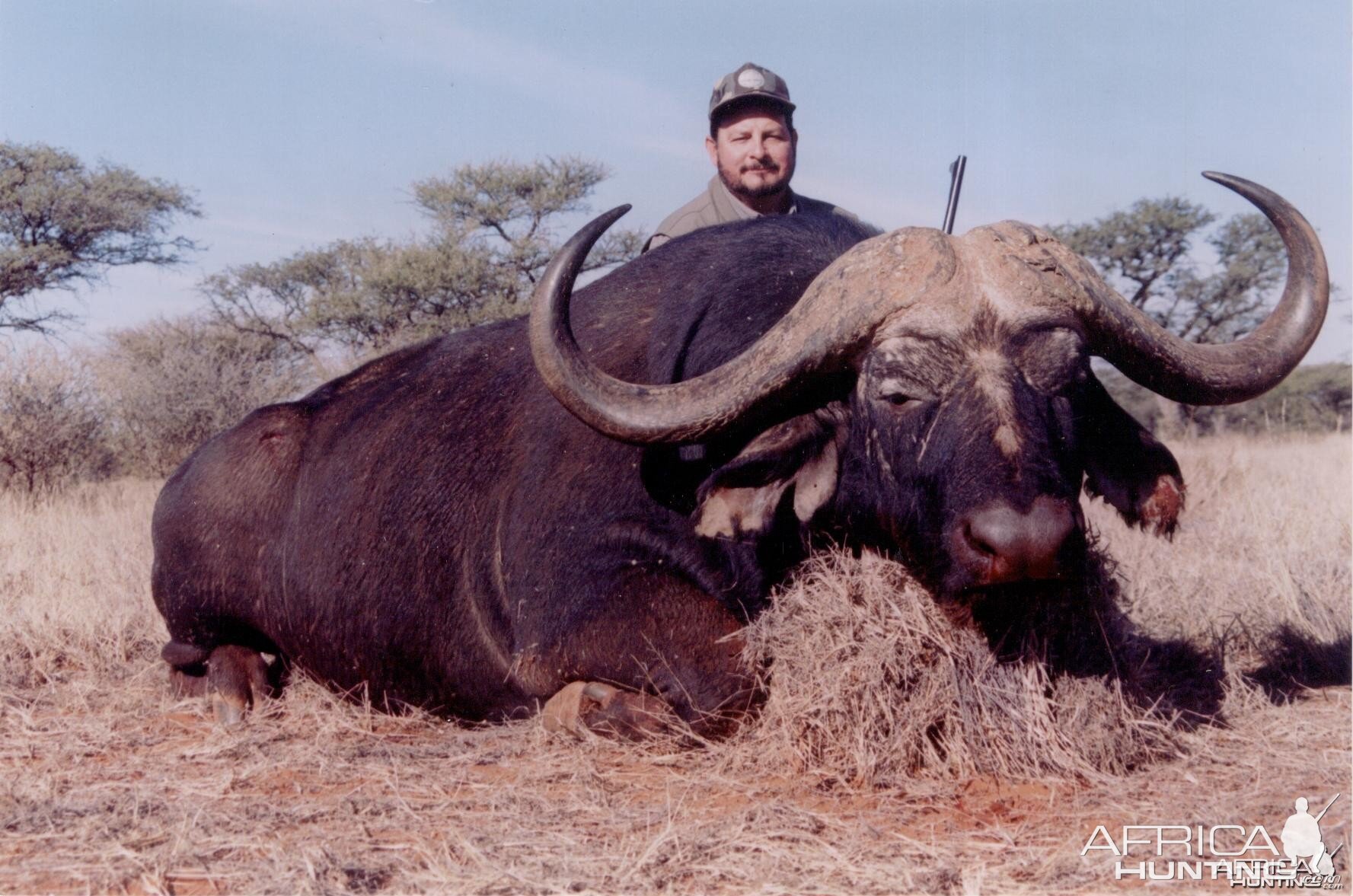 Hunting Buffalo with Wintershoek Johnny Vivier Safaris in SA