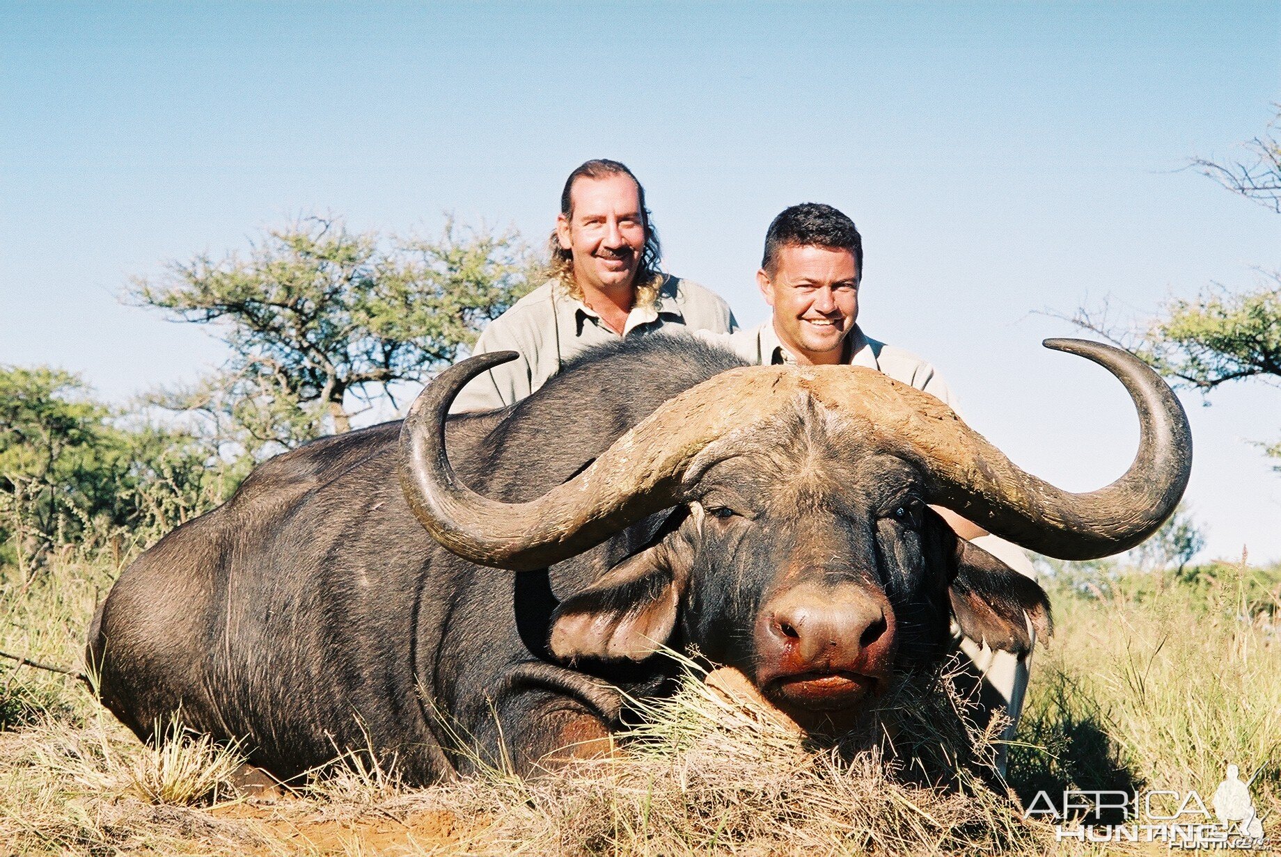 Hunting Buffalo with Wintershoek Johnny Vivier Safaris in SA